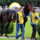 2. Tymon