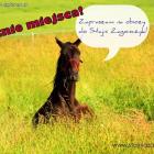 Fotka nr 1 z 3
