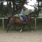 Dzisiejszy trening :)
