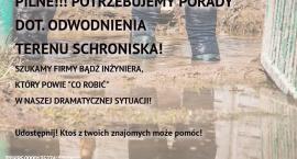 Fotka nr 0 z 4