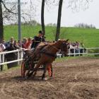 zdjęcie nr 24