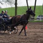 zdjęcie nr 13