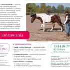 Fotka nr 3 z 4