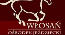 Kursy przygotowawcze do brązowej odznaki