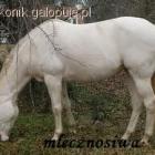 Fotka nr 1 z 5