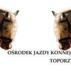Fotka nr 2 z 3