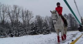 Reprezentowanie Stajni :) 
Gwiazdor Gingers, na nim ja :)