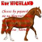 Highland na Howrse