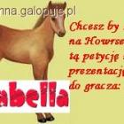 Falabella Howrse