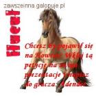 zdjęcie nr 11