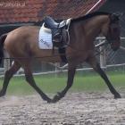 zdjęcie nr 9