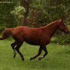 zdjęcie nr 7