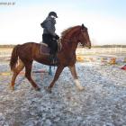 zdjęcie nr 8