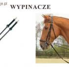 Wypinacze