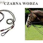 Czarna wodza