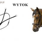 Wytok