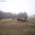 Fotka nr 5 z 7