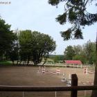 zdjęcie nr 25