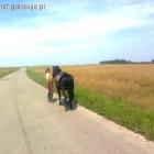 zdjęcie nr 8