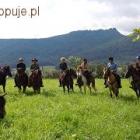 Fotka nr 2 z 4