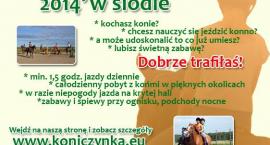 Zapraszamy!