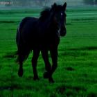 Laki: 22.05.2012