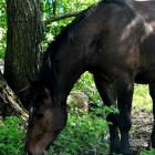 Laki: 24.05.2012