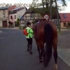 zdjęcie nr 11