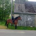 zdjęcie nr 33