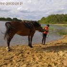 zdjęcie nr 32