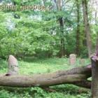 zdjęcie nr 15