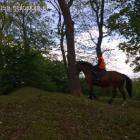 zdjęcie nr 30