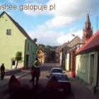 zdjęcie nr 19