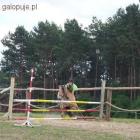zdjęcie nr 11