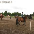 zdjęcie nr 13