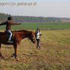 zdjęcie nr 9