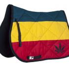 reggea