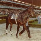 Ruffian 