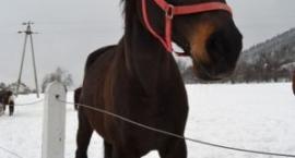 Epoka <3