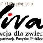 Fotka nr 1 z 5