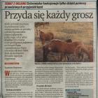Fotka nr 4 z 5