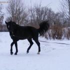 zdjęcie nr 7
