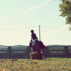 zdjęcie nr 10