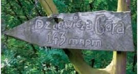 Dziewicza Góra