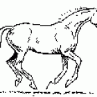 galop