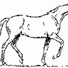 kłus