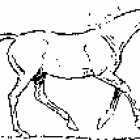 cwau