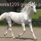 zdjęcie nr 18