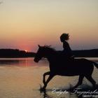 Złapiemy,to słonko!!!;*;*
