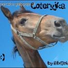 Lepszy widok zawsze z góry!!;*